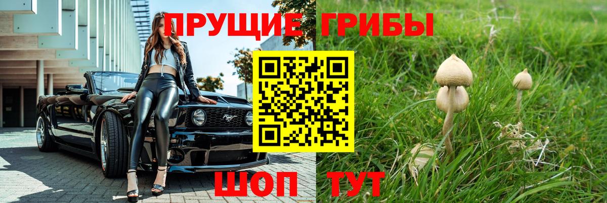 Ликино-Дулёво  Псилоцибиновые грибы Psilocybine cubensis  Вход с VPN 