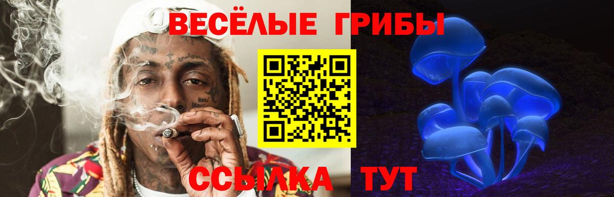 Псилоцибиновые грибы Cubensis Ликино-Дулёво